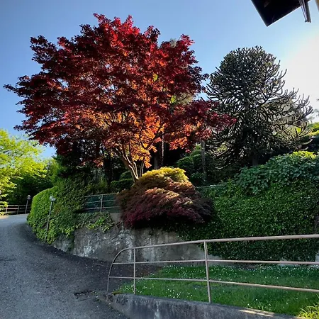 Lejlighed Appartamento - Monolocale 1 Room - Vista Lago, Giardino Spiaggia A Stresa Vista Isole Borromee E Golfo Borromeo - Stresaflat *