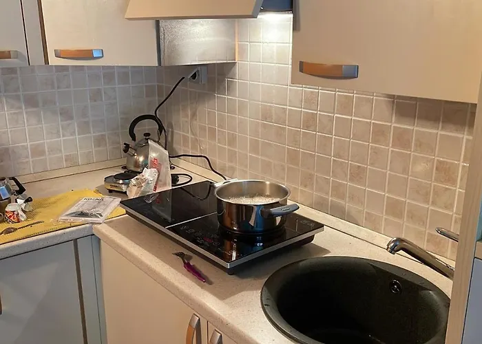 Vista Lago, Giardino A Vista Isole Borromee E Golfo Borromeo - Stresaflat Apartament Stresa